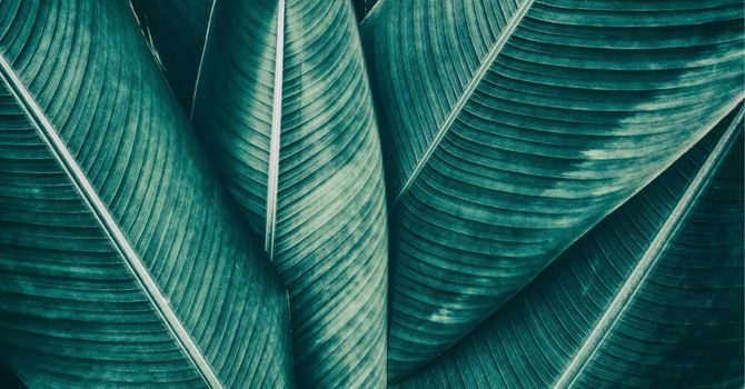 Psicoterapia